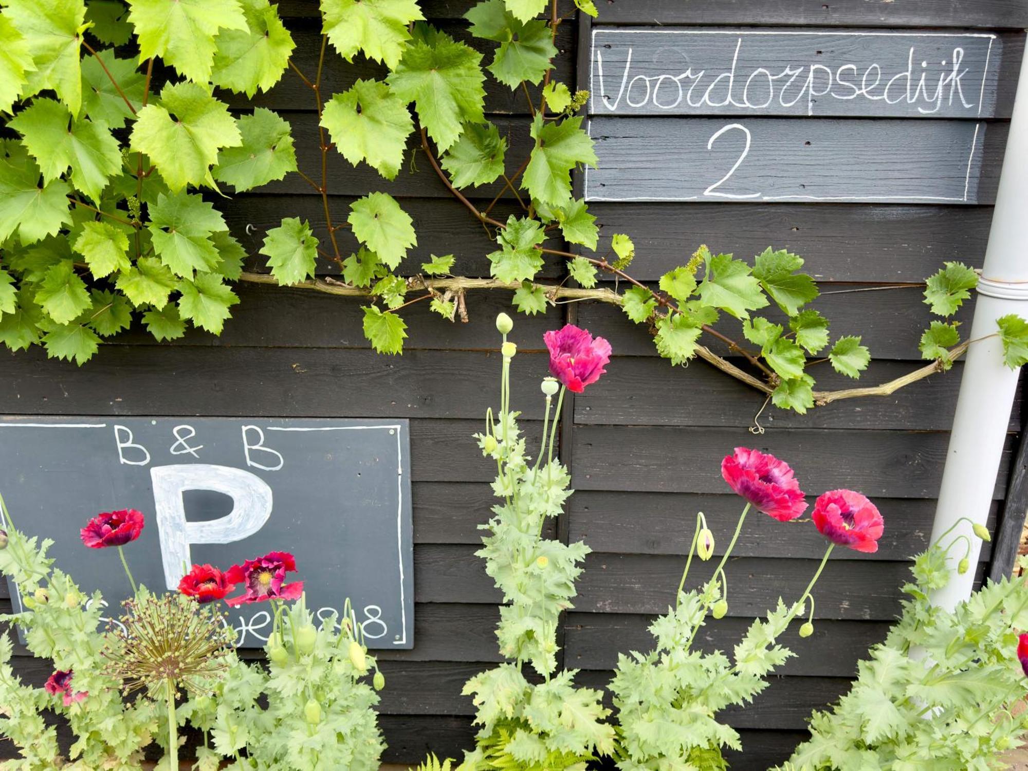 Bed and Breakfast B En B Sluisje 1818 Utrecht Exterior foto